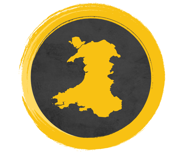 Coleg Cymraeg Branches