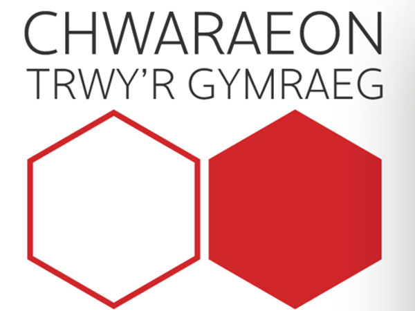 App 'Chwaraeon Trwy'r Gymraeg'