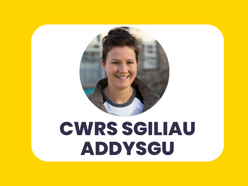 cwrs sgiliau addysgu