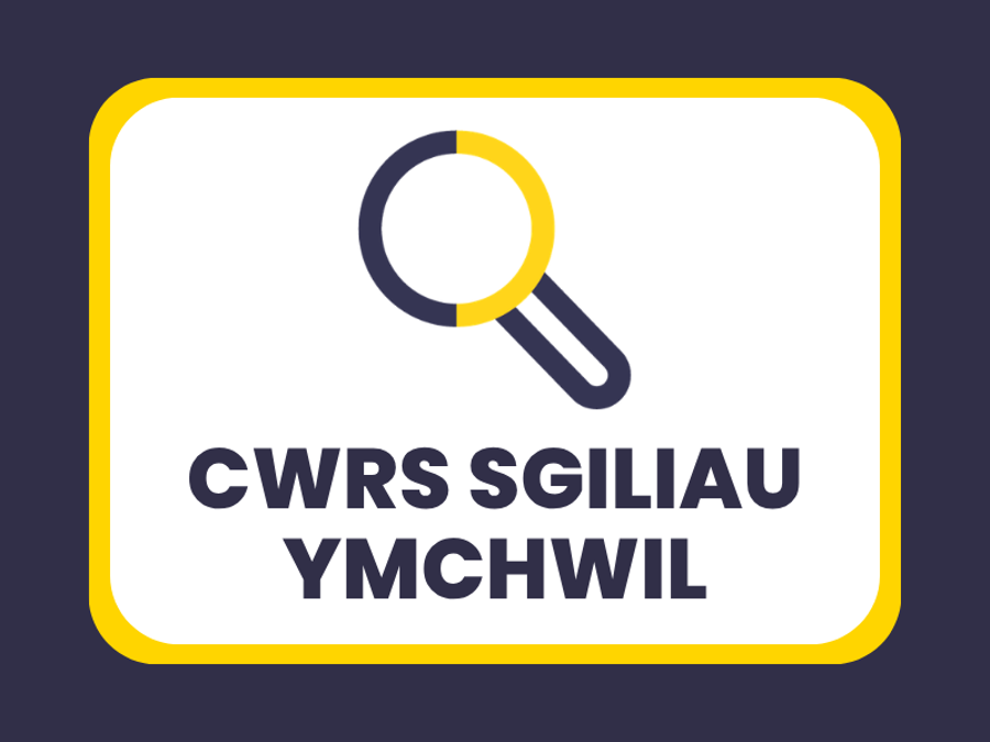 Mân lun rhaglen Sgiliau Ymchwil
