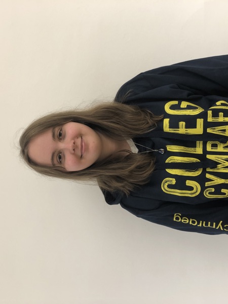 Ambassador Blog: Ffion Traylor