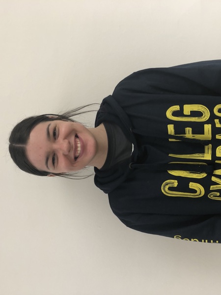 Ffion's blog - ambassador