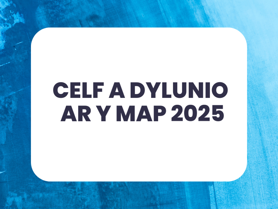 Celf ar y Map 2025