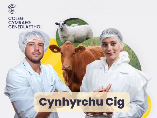 Adnodd Cynhyrchu Cig